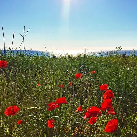 Prora - Wg 201 Mit Meerblick Und Ir-sauna Apartment *