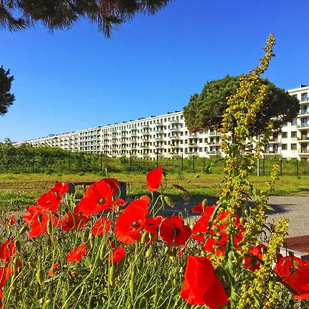 Prora - Wg 201 Mit Meerblick Und Ir-sauna Binz