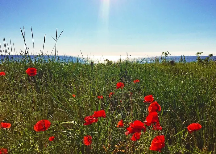 Prora - Wg 201 Mit Meerblick Und Ir-sauna Lejlighed *